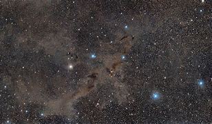 Image result for Dark Wolf Nebula