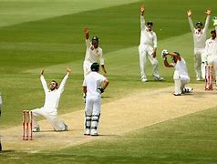 Image result for Mad People Playing Cricket