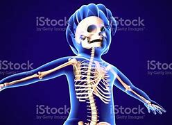 Image result for Baby Skeleton