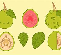 Image result for Guava Clip Art