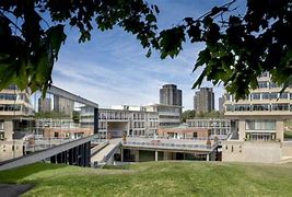 Image result for Sean Kelly Uni of Essex