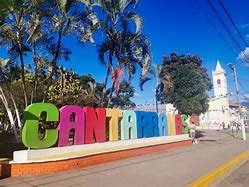 Image result for cantarrana