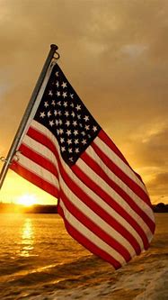 Image result for USA Flag with Phone