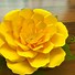 Image result for Poster Paper Flower Template