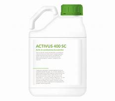 Image result for activusta