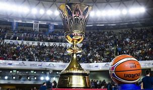 Image result for FIBA Basketball World Cup