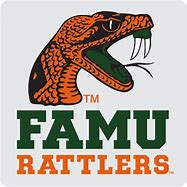 Image result for FAMU University Logo