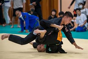 Image result for brazil jiu jitsu tournaments