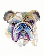 Image result for Bulldog Boxer Art