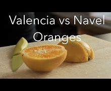 Image result for Valencia vs Navel Orange