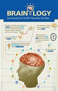 Image result for Facts About Brain