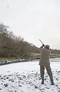 Image result for Pheasant Shooting