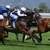 Image result for Picture of Horse Racing