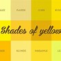 Image result for Pale Yellow Paint