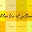 Image result for Yellow 3 Color