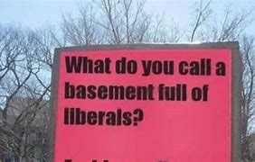 Image result for Funny 2020 Election Signs