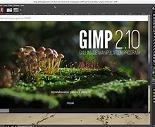 Image result for GIMP Image