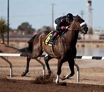 Image result for Horse Racing Photography