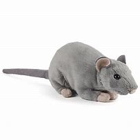Image result for Plush Rat Cute