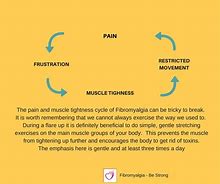 Image result for Circular Muscle