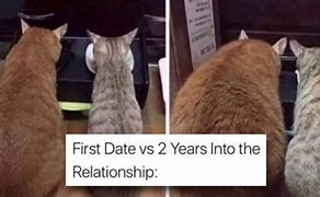 Image result for Cute Cat Couple Memes