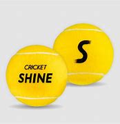 Image result for Cricket Trophies