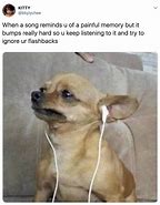 Image result for Crazy Chihuahua Meme