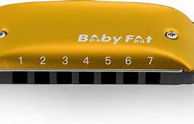 Image result for Baby Fat Harmonica