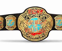 Image result for WWE ECW Championship
