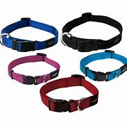 Image result for Dog Collar with Heart PNG