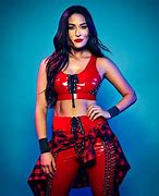 Image result for Brie Bella WWE Outfits