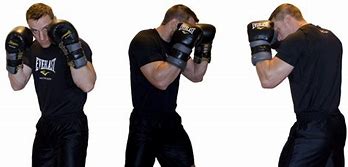 Image result for Fighting Style Stance