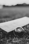 Image result for Cricket Bat and Ball Laying On Grass