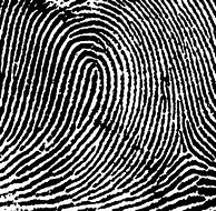 Image result for Fingerprint Diagram