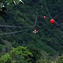 Image result for Bungee Rope