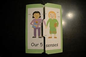 Image result for 5 Senses Lapbook