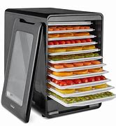 Image result for Large Dehydrator
