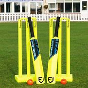 Image result for Backyard Cricket Set
