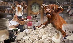 Image result for Bull in Shop Pics