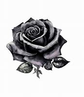 Image result for Black Watercolor Flowers
