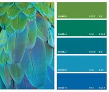 Image result for Green and Blue Color Combo