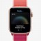 Image result for Apple Watches Series 5