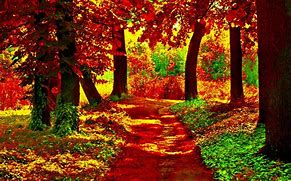 Image result for Fall Wallpaper