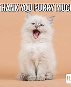 Image result for Funny Thank You Cute Meme