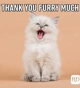 Image result for Funny Animal Thank You Meme