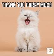 Image result for Cute Thank You so Much Meme