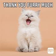 Image result for Pretty Thank You Meme