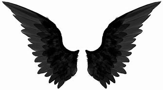 Image result for Black Angel Wings Drawing