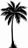 Image result for Palm Tree Silhouette Top View