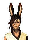 Image result for Viera Face 4